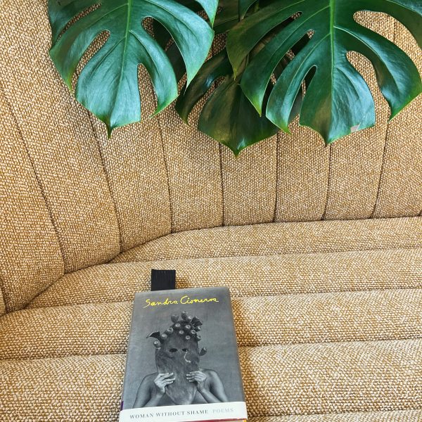 Woman Without Shame: Poems by Sandra Cisneros