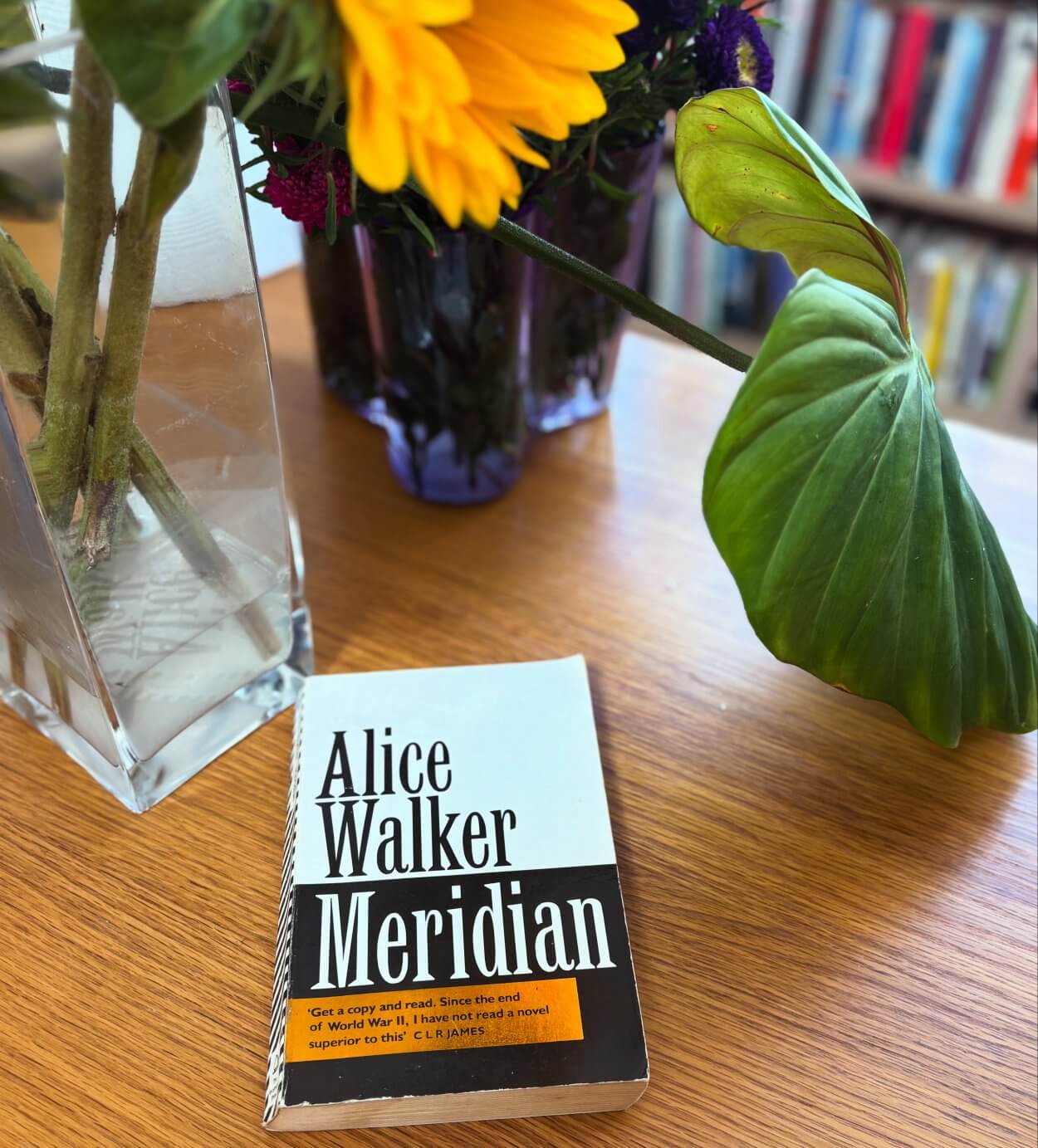 Meridian by Alice Walker
