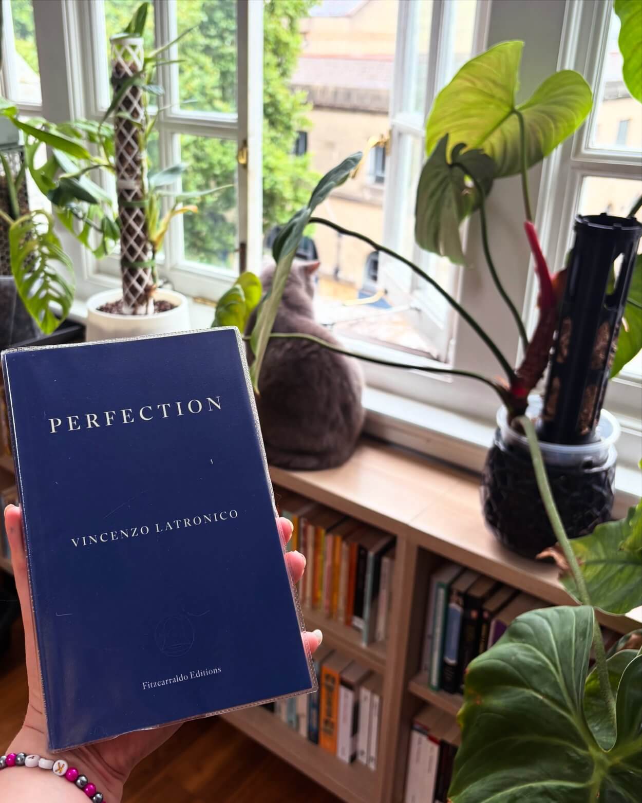 Perfection by Vincenzo Latronico