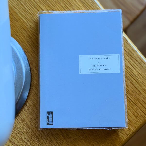 The Blank Wall by Elisabeth Sanxay Holding
