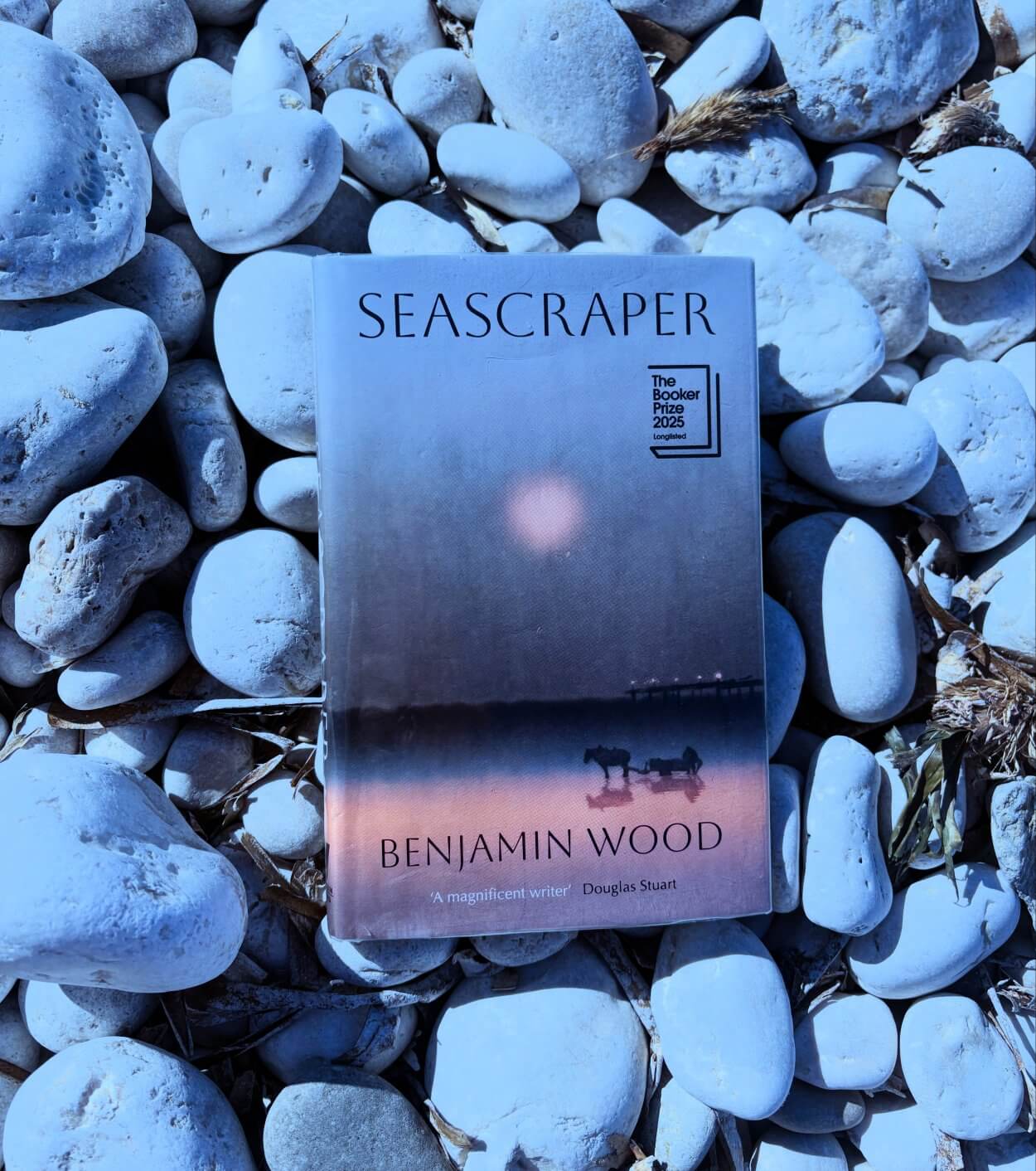 Seascraper by Benjamin Wood