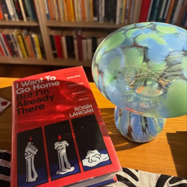 Want to Go Home But I’m Already There by Róisín Lanigan