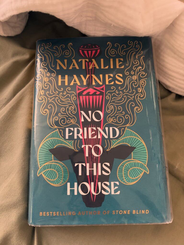 No Friend to This House by Natalie Haynes