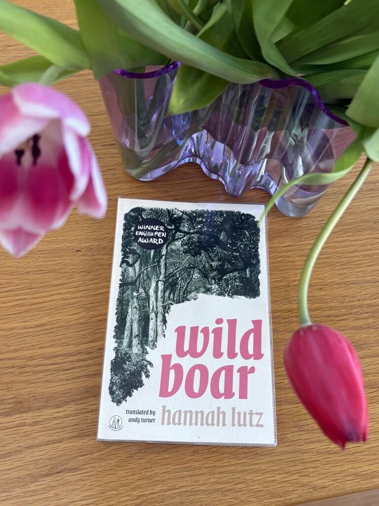 Wild Boar by Hannah Lutz